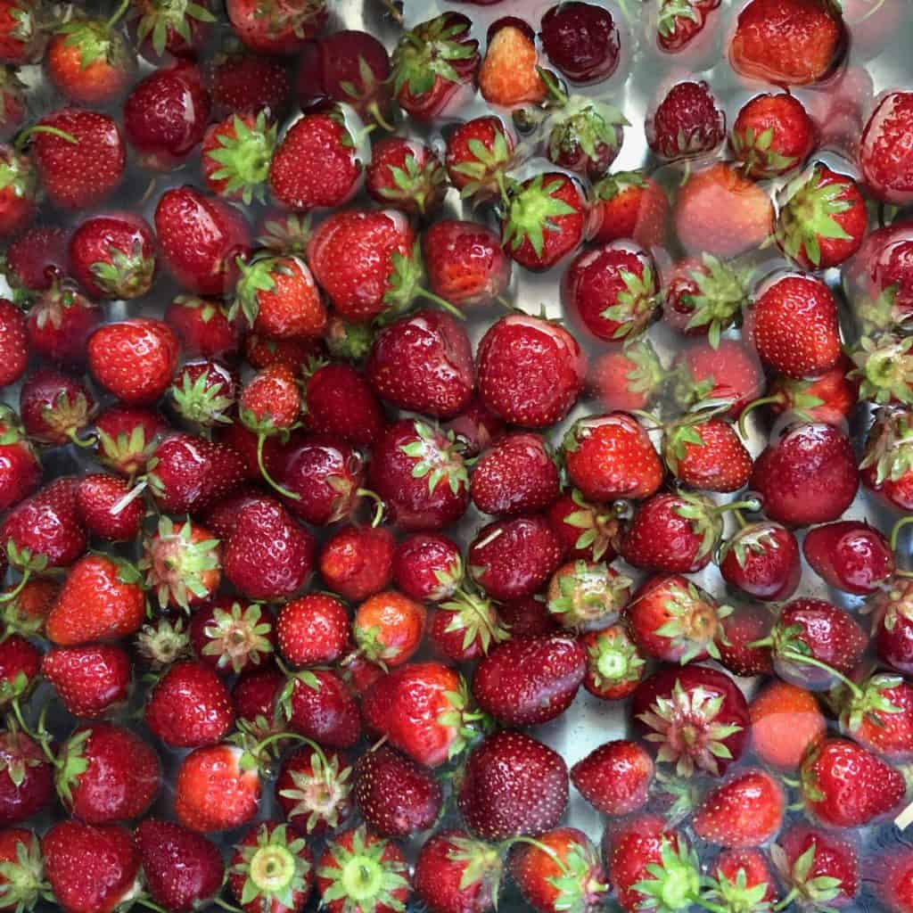 Fresh-picked strawberries.