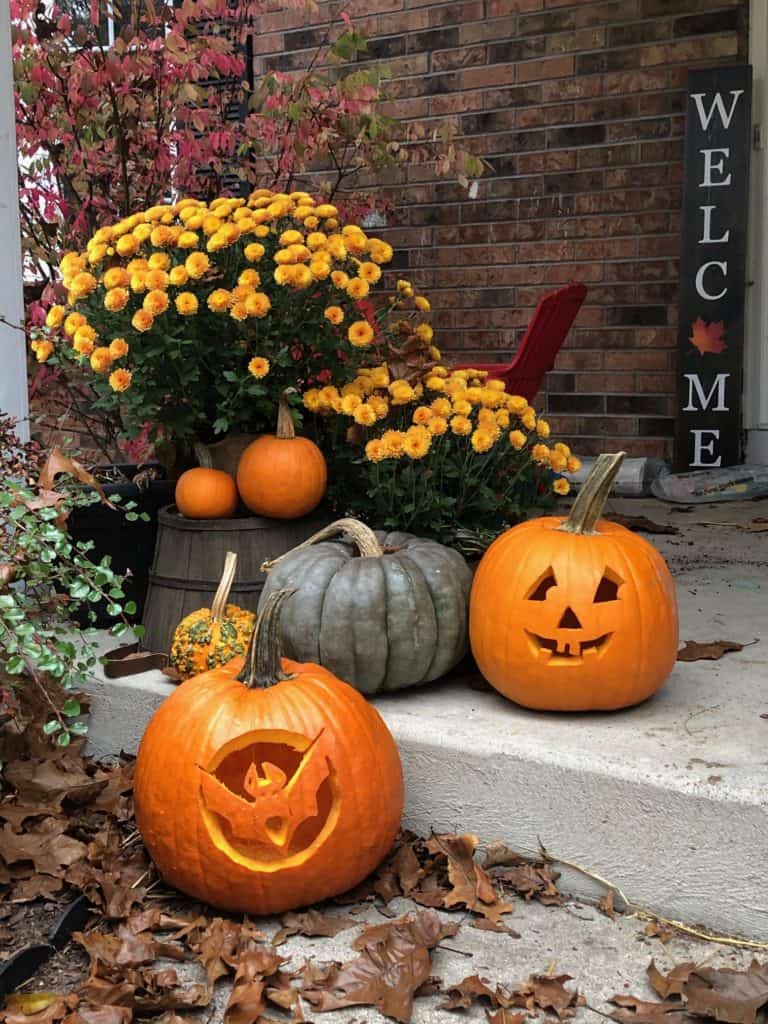 An image of fall decorations, including mums and pumpkins, for the seasonal meal plan for fall 2021.