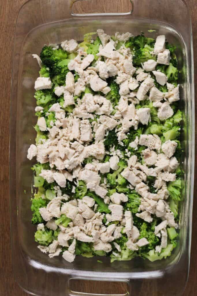 Steamed broccoli chunks and cubed cooked chicken layered in a casserole dish.