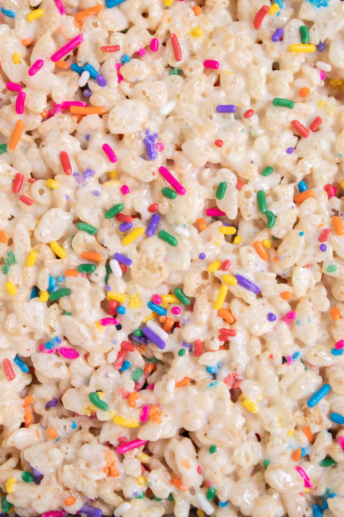 A detail photo of the multicolored sprinkles on the top of the cereal and marshmallow mixture.