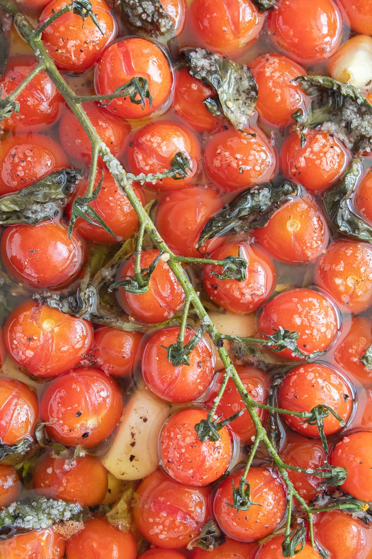 Burst cherry tomatoes on the vine sit in oil with pepper, garlic cloves, herbs, and salt.