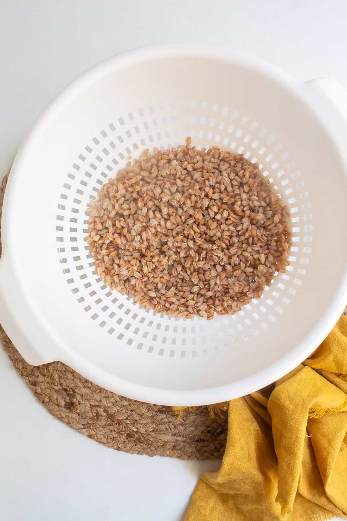 The cooked farro is drained in a white colander.